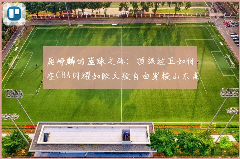 庞峥麟的篮球之路：顶级控卫如何在CBA闪耀如欧文般自由穿梭山东高速